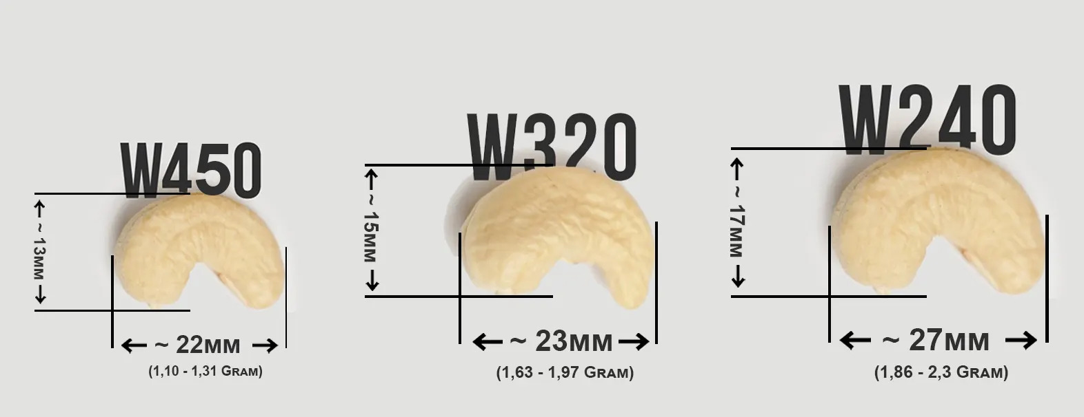 Phân loại hạt điều W240 và các loại hạt điều khác